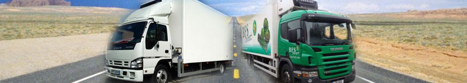  EZ-Trucking banner